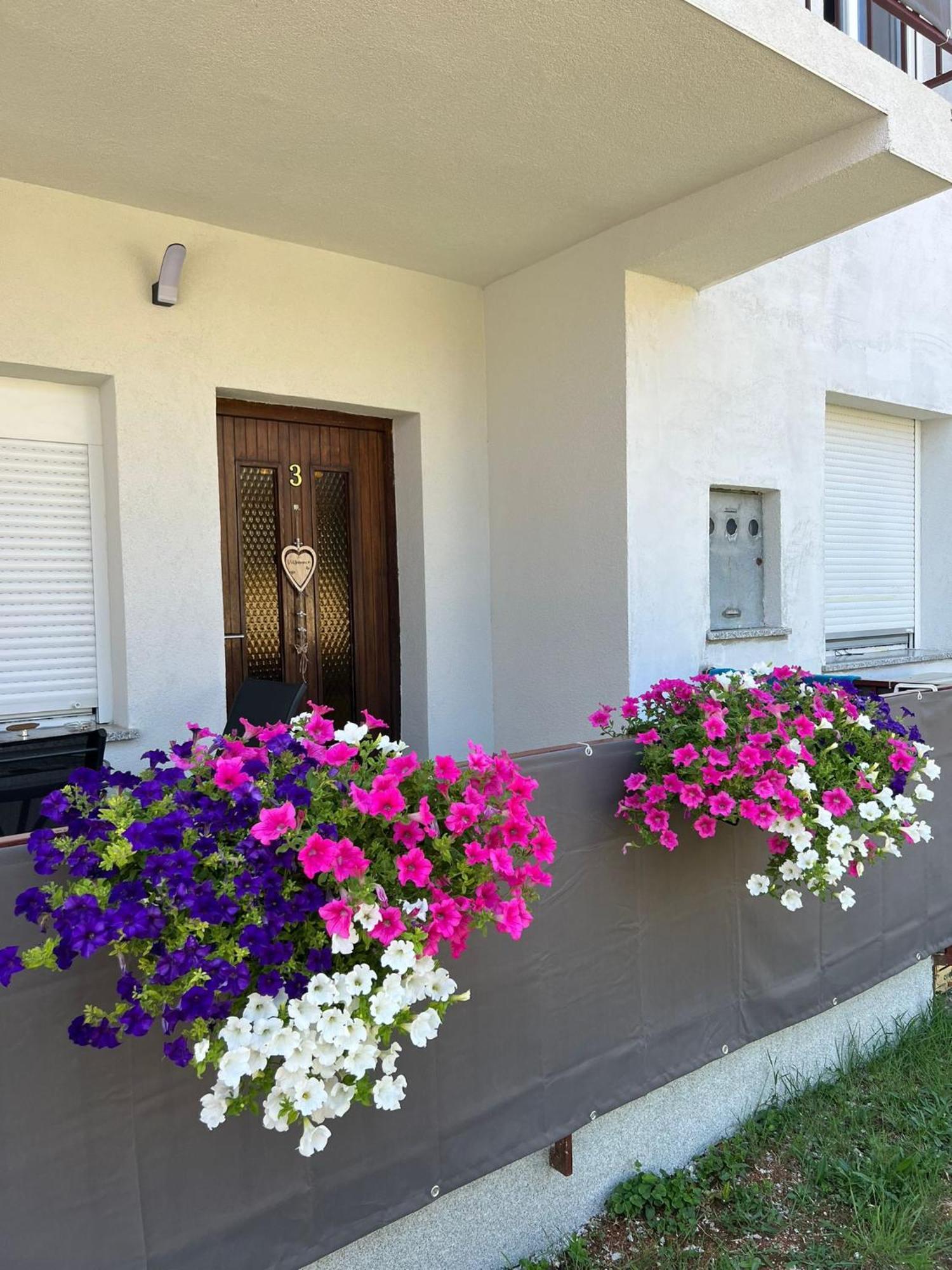 3Level Apartments Kroatien Umag Bagian luar foto